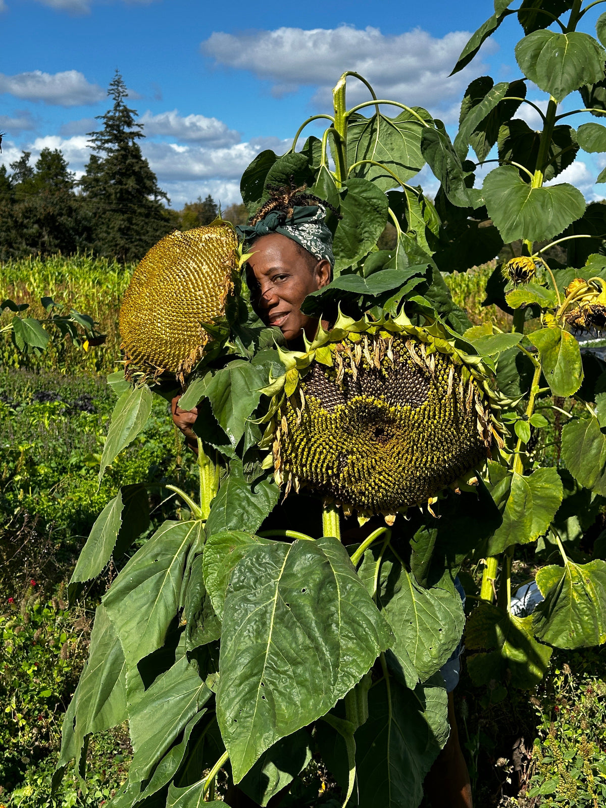 Haki Farmers Collective