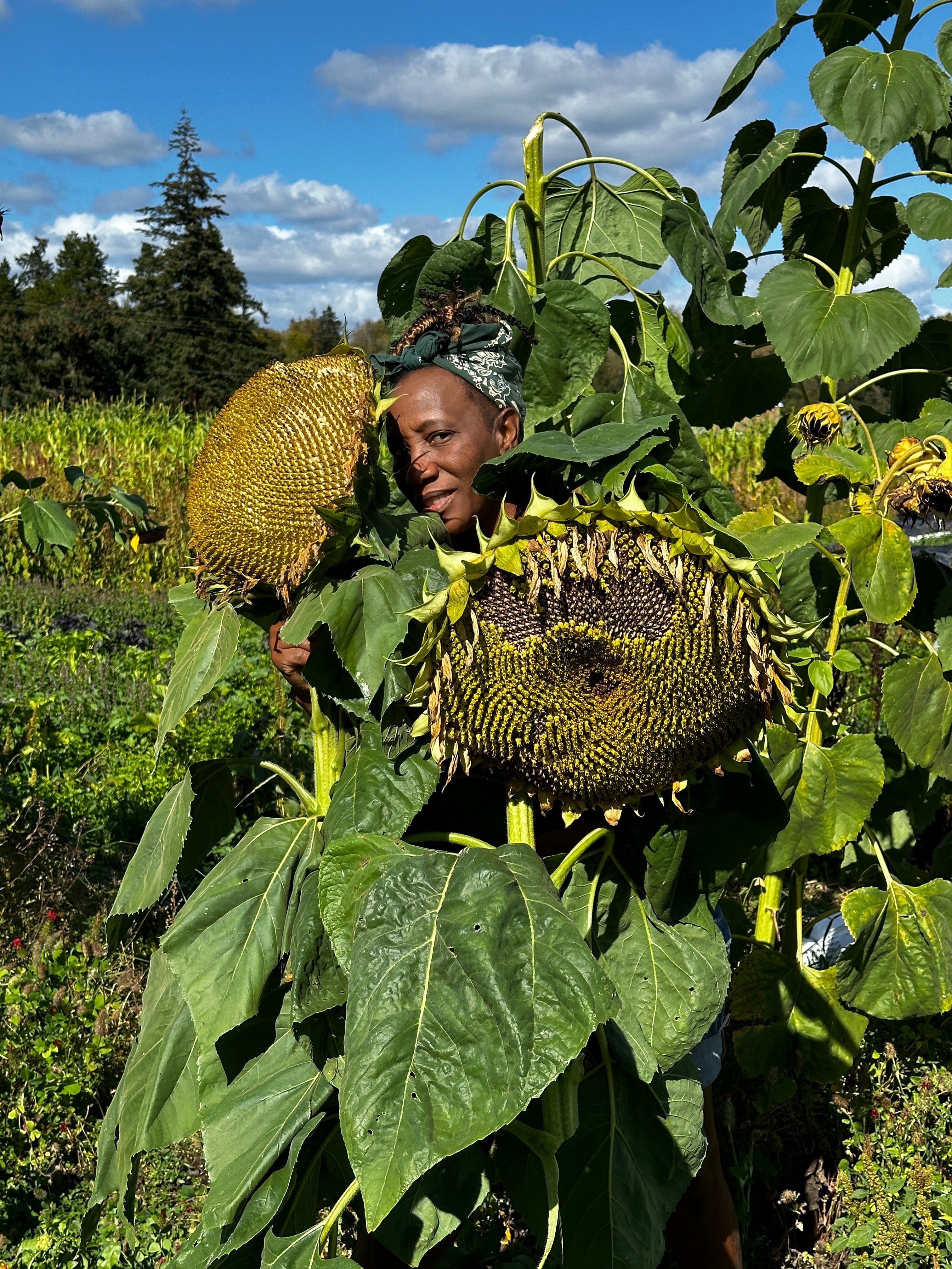 Haki Farmers Collective